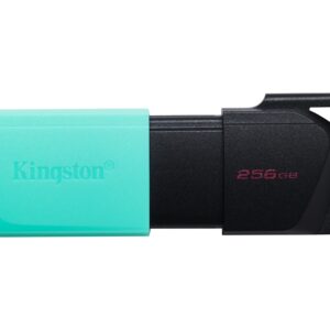 Kingston DataTraveler Exodia M - Unidad flash USB - 256 GB - USB 3.2 Gen 1