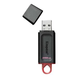 Kingston DataTraveler Exodia - Unidad flash USB - 256 GB - USB 3.2 Gen 1 - negro/rosa